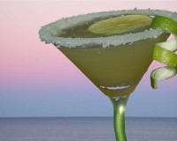 010 Top Shelf Margarita copy