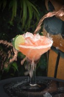 017 Prickly Pear Margarita