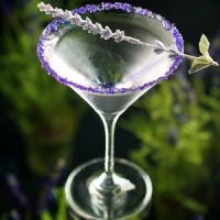 Voodoo Tiki Tequila Lavender Martini