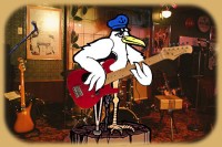 guitar_gull_stage