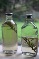 voodoo tiki tequila_rosemary-simple-syrup